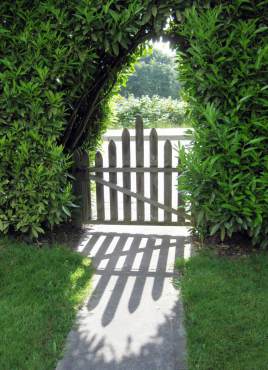 Jean Boyle and Bethany McDonald — A Tale of Two Sisters and Their Gardens