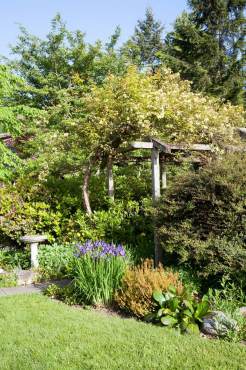 Jean Boyle and Bethany McDonald — A Tale of Two Sisters and Their Gardens