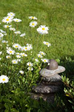 Jean Boyle and Bethany McDonald — A Tale of Two Sisters and Their Gardens