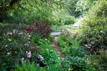 Jean Boyle and Bethany McDonald — A Tale of Two Sisters and Their Gardens