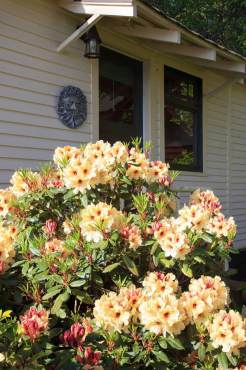 Jean Boyle and Bethany McDonald — A Tale of Two Sisters and Their Gardens