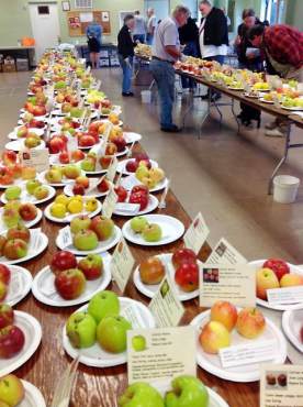 Peninsula Fruit Club Fall Fruit Tasting Show Apples