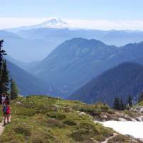 Hiking at Mount Rainier provides spectacular views and wildlife watching opportunities.