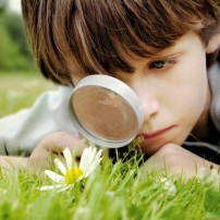 Outdoor Activities to Connect Children With Nature