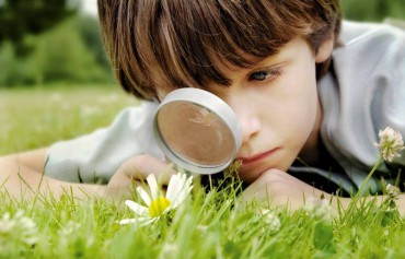 Outdoor Activities to Connect Children With Nature