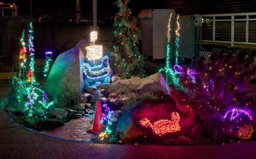 Kingston Christmas Lights