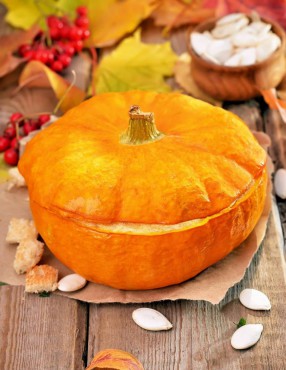 Stuffed Pumpkin