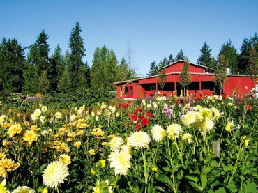 Farm Kitchen and Guest House