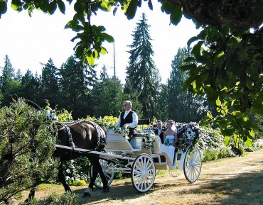 Farm Kitchen and Guest House