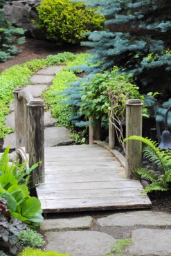 A bridge nestled in the layers of trees