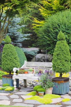 A bench is a beautiful feature among the shrubs that are planted on the slope.