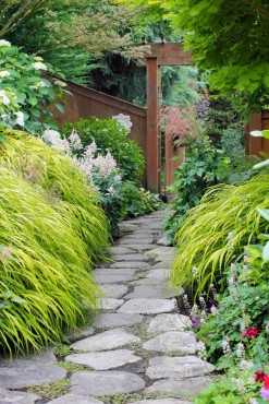 A rose (Rosa 'Eden') covers the gateway, which marks a transition from the front garden to the back. Clipped arborvitae backdrops the looser plantings of hostas.