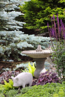 Bird bath