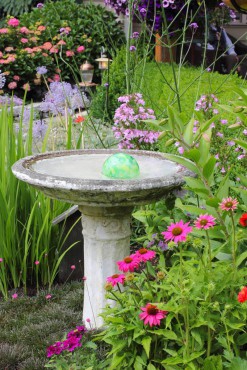 One special piece in the garden is an old, concrete birdbath from Jay's youth. There is a photo of him kneeling in it when he was 8 years old.