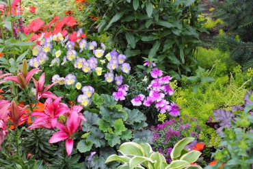 Garden filled with an array of shrubs, perennials, annuals and bulbs
