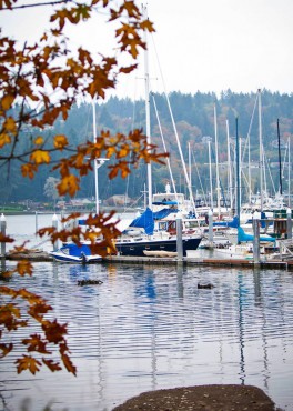 Gig Harbor