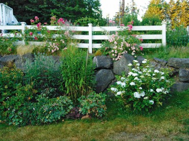 Orchard House — An English Cottage Garden