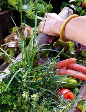 Garden to Table — Vegetables in Small Spaces