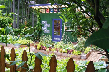 Garden to Table — Vegetables in Small Spaces