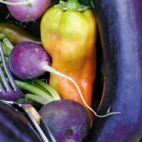 Garden to Table — Vegetables in Small Spaces