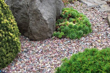 Gravel in the Garden