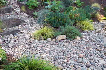 Gravel in the Garden