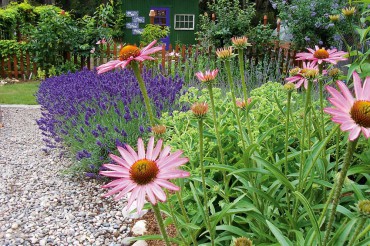 Gravel in the Garden