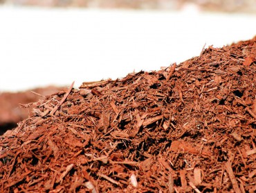 Bark is the perfect mulch for acid-loving plants.