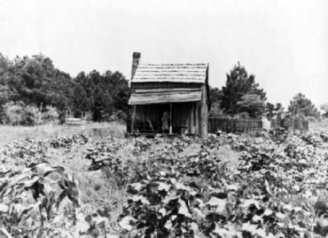 Historical Plants of West Sound