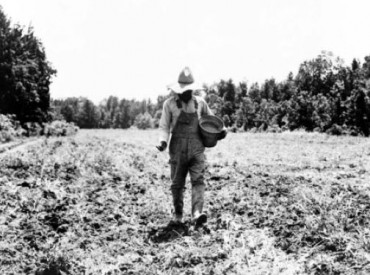 Historical Plants of West Sound