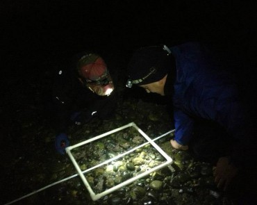 Learning how to identify different sea creatures from PLU biology professor Michael Behrens (right).