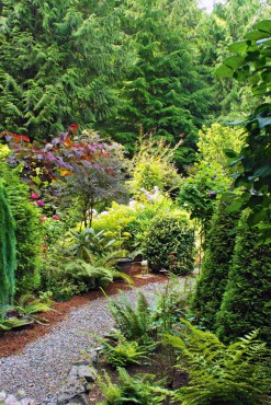 Margie and Jerry Breunig — Dedicated Gardeners