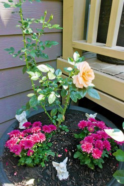 Margie and Jerry Breunig — Dedicated Gardeners