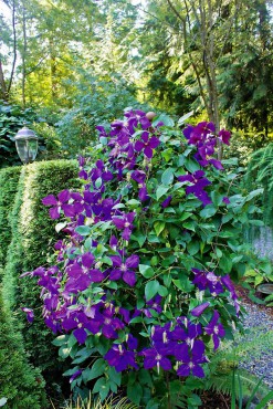 Margie and Jerry Breunig — Dedicated Gardeners