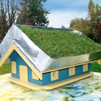 How to Build a Green Roof Birdhouse