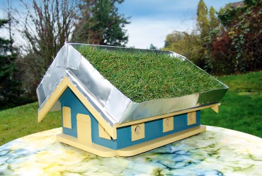 How to Build a Green Roof Birdhouse