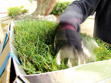 How to Build a Green Roof Birdhouse Fig. 5