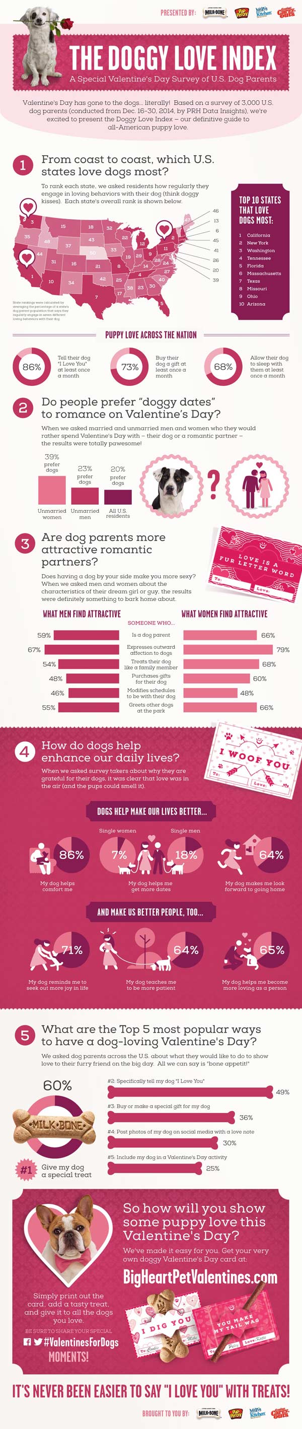 Doggy Love Infographic