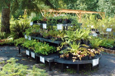 Woodbrook Native Plant Nursery