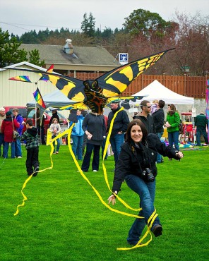 Kites over Kingston