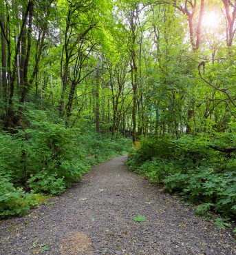 Northwest Park Trail