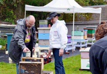 Ted Gill (left) David Mackovjak opening a package of bees. Gill is the president of West Sound Beekeepers Association.