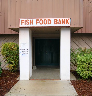 Fish Food Bank