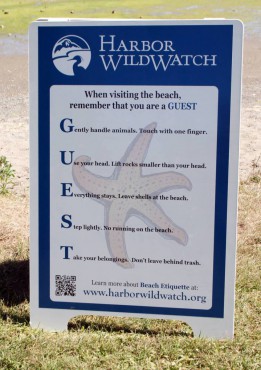 Harbor WildWatch G.U.E.S.T. guide
