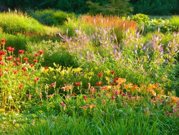 Sundquist Nursery — Perennial beds in summer glory