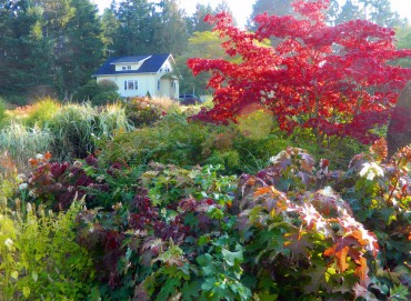 Sundquist Nursery The Sundquist meadow border in fall