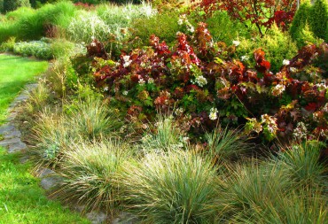 Sundquist Nursery "Peewee" oakleaf hydrangeas and grasses light up the fall season in the meadow border.