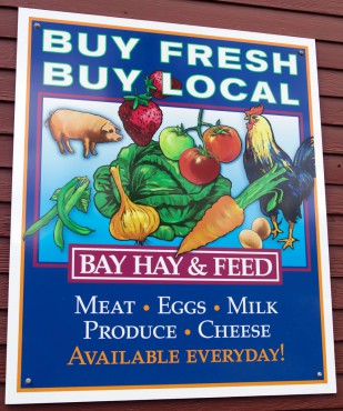 Bay Hay and Feed