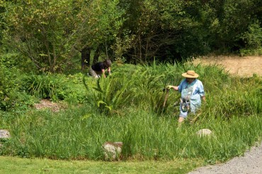 Buck Lake Native Plant Garden