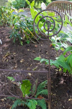 Buck Lake Native Plant Garden